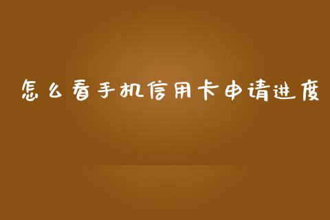怎么看手机信用卡申请进度_https://www.gongyisiwang.com_恒指期货_第1张