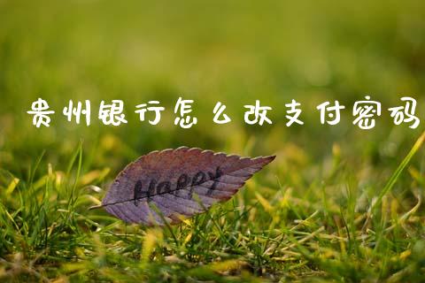 贵州银行怎么改支付密码_https://www.gongyisiwang.com_焦炭期货手续费_第1张