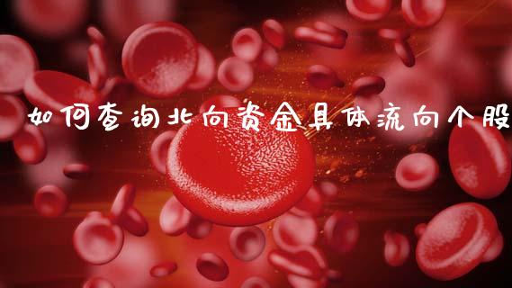 如何查询北向资金具体流向个股_https://www.gongyisiwang.com_期货公司手续费排名_第1张