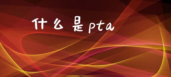 什么是pta_https://www.gongyisiwang.com_股指期货_第1张