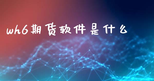 wh6期货软件是什么_https://www.gongyisiwang.com_恒指期货_第1张