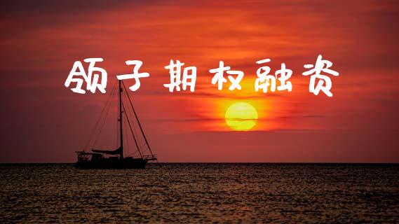 领子期权融资_https://www.gongyisiwang.com_原油期货_第1张
