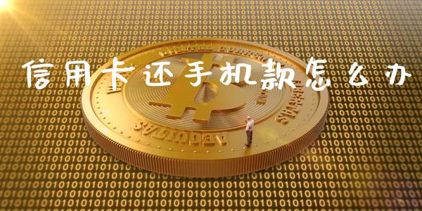 信用卡还手机款怎么办_https://www.gongyisiwang.com_恒指期货_第1张