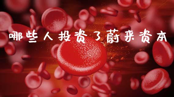 哪些人投资了蔚来资本_https://www.gongyisiwang.com_股指期货_第1张