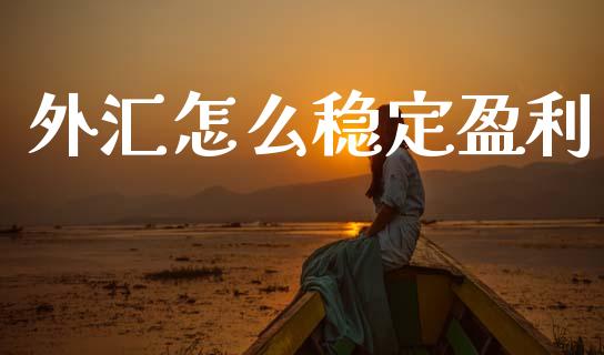 外汇怎么稳定盈利_https://www.gongyisiwang.com_股指期货交易手续费_第1张
