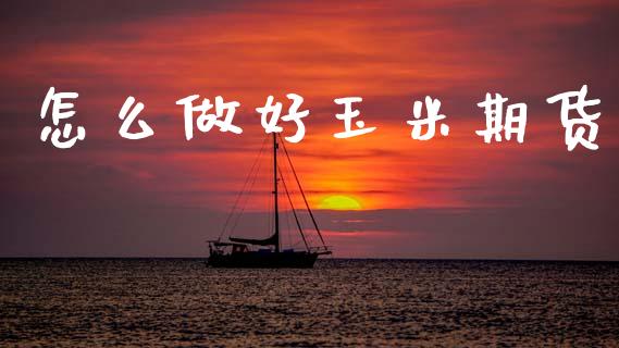 怎么做好玉米期货_https://www.gongyisiwang.com_焦炭期货手续费_第1张