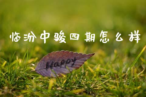 临汾中骏四期怎么样_https://www.gongyisiwang.com_焦炭期货手续费_第1张