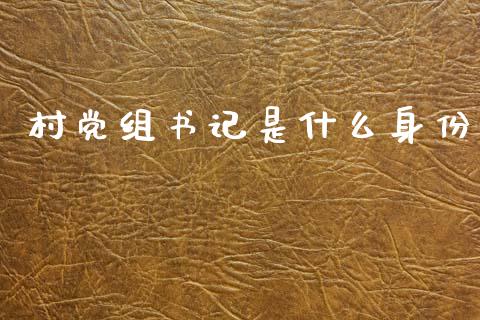 村党组书记是什么身份_https://www.gongyisiwang.com_道指_第1张