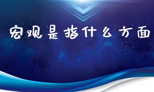 宏观是指什么方面_https://www.gongyisiwang.com_焦炭期货手续费_第1张
