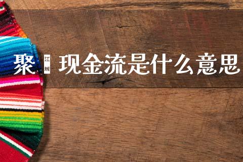 聚酯现金流是什么意思_https://www.gongyisiwang.com_股指期货交易手续费_第1张
