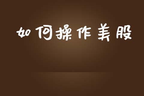 如何操作美股_https://www.gongyisiwang.com_股指期货交易手续费_第1张