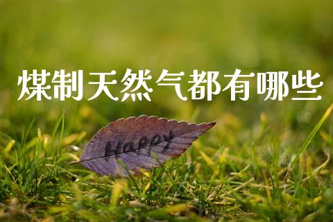 煤制天然气都有哪些_https://www.gongyisiwang.com_原油期货_第1张