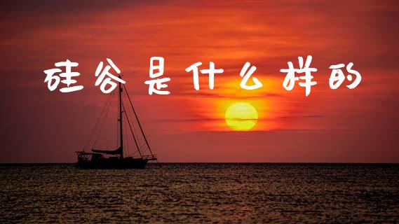 硅谷是什么样的_https://www.gongyisiwang.com_期货公司手续费排名_第1张