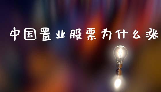 中国置业股票为什么涨_https://www.gongyisiwang.com_期货公司手续费排名_第1张