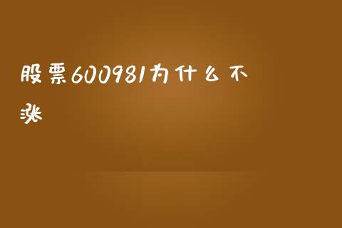 股票600981为什么不涨_https://www.gongyisiwang.com_恒指期货_第1张