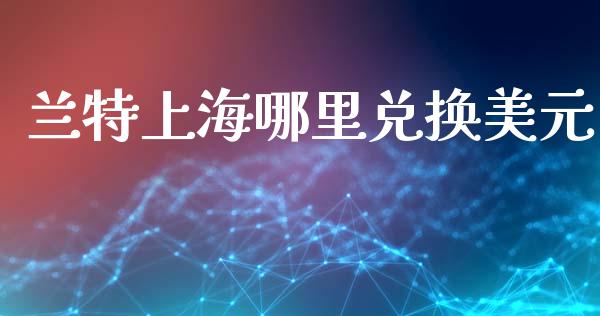 兰特上海哪里兑换美元_https://www.gongyisiwang.com_恒指期货_第1张