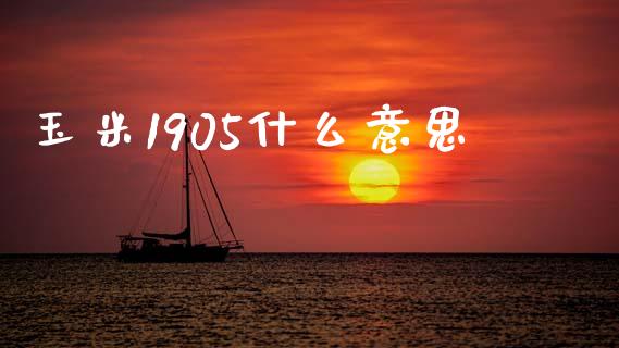 玉米1905什么意思_https://www.gongyisiwang.com_期货公司手续费排名_第1张