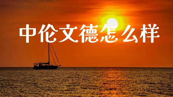 中伦文德怎么样_https://www.gongyisiwang.com_股指期货_第1张