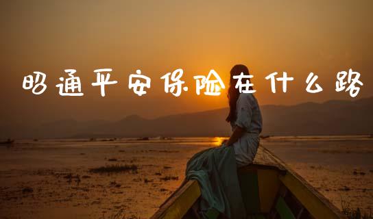 昭通平安保险在什么路_https://www.gongyisiwang.com_期货公司手续费排名_第1张