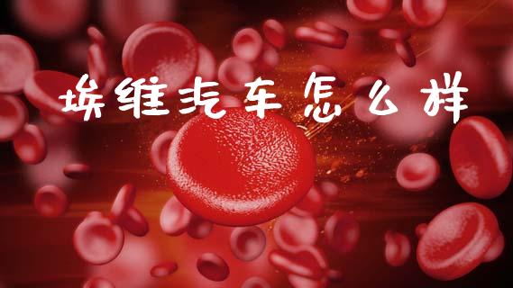 埃维汽车怎么样_https://www.gongyisiwang.com_股指期货_第1张