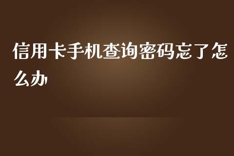 信用卡手机查询密码忘了怎么办_https://www.gongyisiwang.com_道指_第1张
