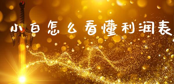 小白怎么看懂利润表_https://www.gongyisiwang.com_广发期货手续费_第1张