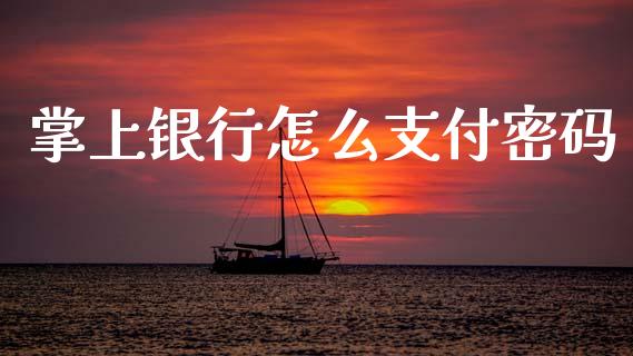 掌上银行怎么支付密码_https://www.gongyisiwang.com_期货公司手续费排名_第1张