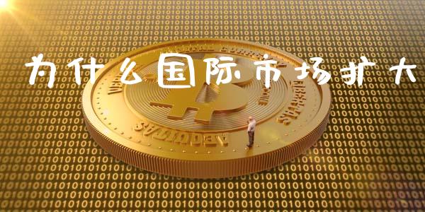 为什么国际市场扩大_https://www.gongyisiwang.com_道指_第1张
