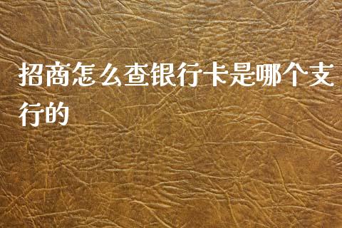 招商怎么查银行卡是哪个支行的_https://www.gongyisiwang.com_期货公司手续费排名_第1张
