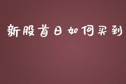 新股首日如何买到_https://www.gongyisiwang.com_道指_第1张