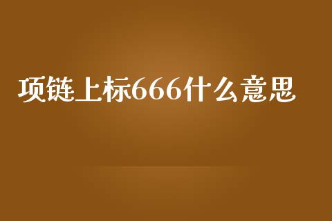 项链上标666什么意思_https://www.gongyisiwang.com_股指期货交易手续费_第1张