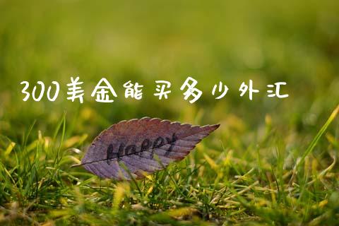 300美金能买多少外汇_https://www.gongyisiwang.com_原油期货_第1张