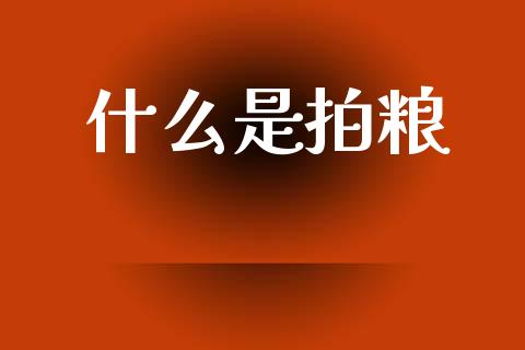 什么是拍粮_https://www.gongyisiwang.com_广发期货手续费_第1张