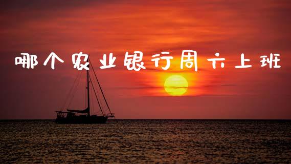 哪个农业银行周六上班_https://www.gongyisiwang.com_焦炭期货手续费_第1张