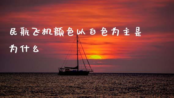 民航飞机颜色以白色为主是为什么_https://www.gongyisiwang.com_焦炭期货手续费_第1张