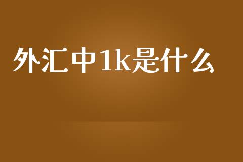 外汇中1k是什么_https://www.gongyisiwang.com_焦炭期货手续费_第1张