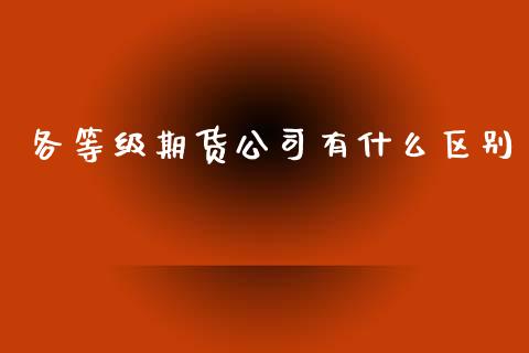 各等级期货公司有什么区别_https://www.gongyisiwang.com_期货公司手续费排名_第1张