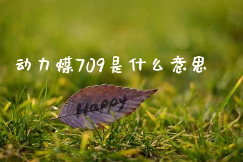 动力煤709是什么意思_https://www.gongyisiwang.com_期货公司手续费排名_第1张