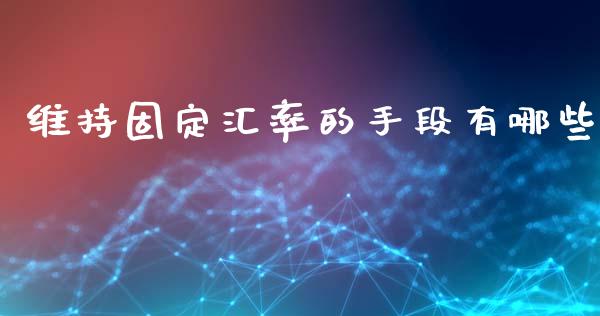 维持固定汇率的手段有哪些_https://www.gongyisiwang.com_股指期货交易手续费_第1张