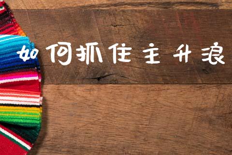 如何抓住主升浪_https://www.gongyisiwang.com_期货公司手续费排名_第1张