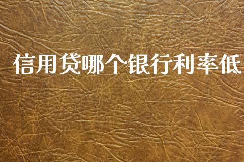 信用贷哪个银行利率低_https://www.gongyisiwang.com_恒指期货_第1张