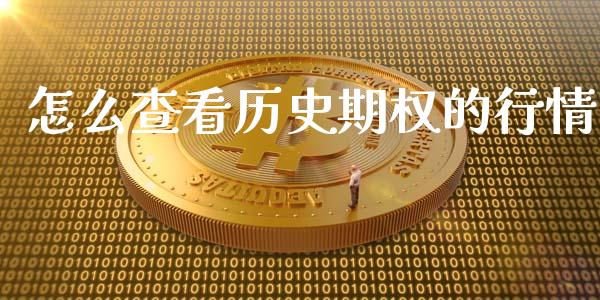 怎么查看历史期权的行情_https://www.gongyisiwang.com_焦炭期货手续费_第1张