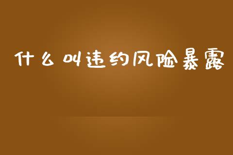 什么叫违约风险暴露_https://www.gongyisiwang.com_道指_第1张