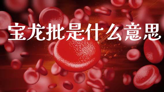 宝龙批是什么意思_https://www.gongyisiwang.com_广发期货手续费_第1张