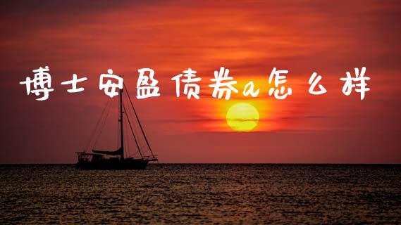 博士安盈债券a怎么样_https://www.gongyisiwang.com_广发期货手续费_第1张