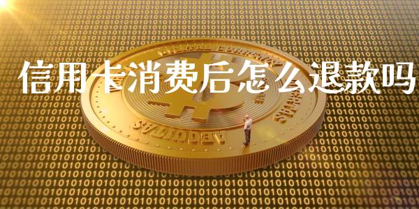 信用卡消费后怎么退款吗_https://www.gongyisiwang.com_道指_第1张
