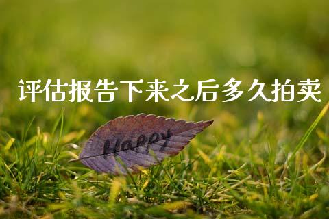 评估报告下来之后多久拍卖_https://www.gongyisiwang.com_广发期货手续费_第1张