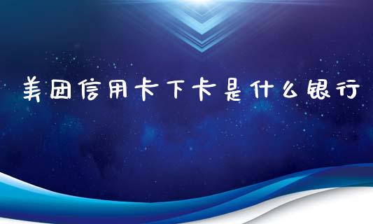 美团信用卡下卡是什么银行_https://www.gongyisiwang.com_道指_第1张