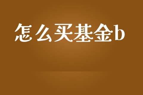 怎么买基金b_https://www.gongyisiwang.com_焦炭期货手续费_第1张