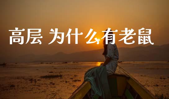 高层 为什么有老鼠_https://www.gongyisiwang.com_股指期货_第1张